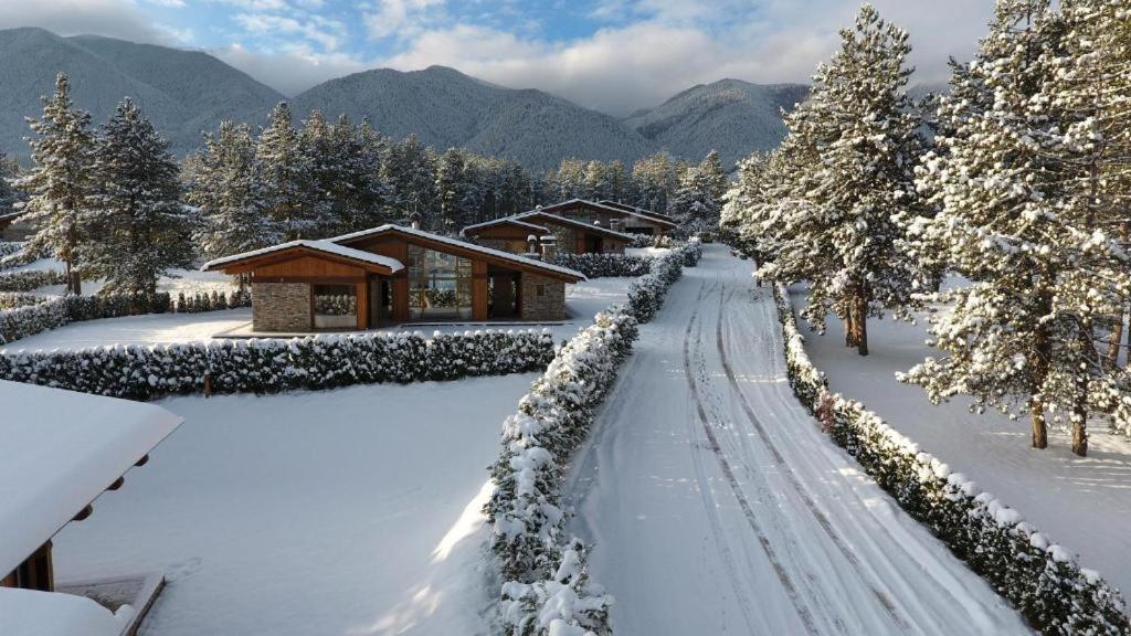 Pirin Golf Relax Villa *